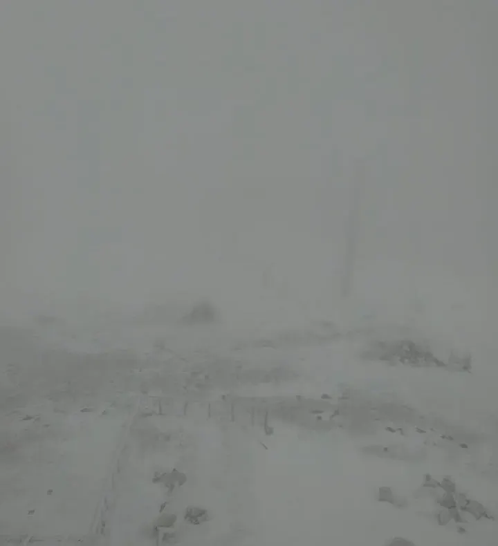 Avertizare meteo cod galben de vijelie