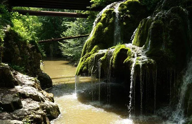 60% din aria parcului național unde se află Cascada Bigăr, afectată de tăieri