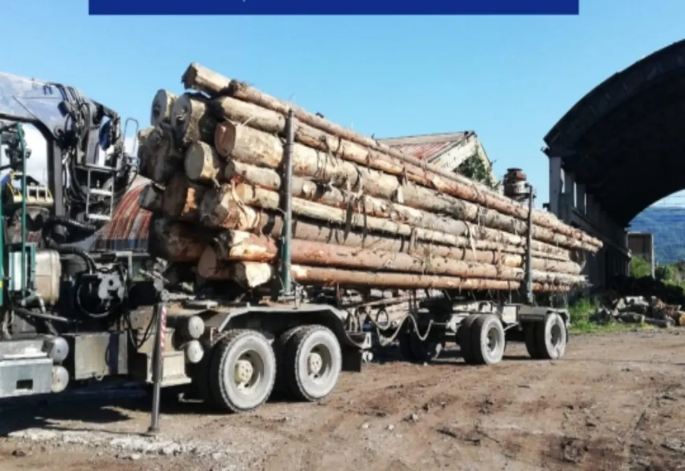 Material lemnos în valoare de peste 6.000 de lei, confiscat de polițiști
