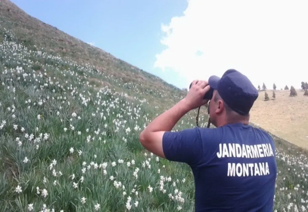 Pe Muntele Mic vor patrula de acum înainte jandarmii