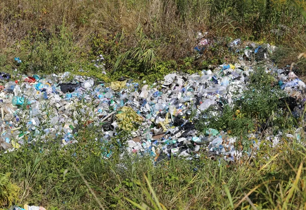 Intrările în Reşiţa vor fi ecologizate cu ajutorul voluntarilor