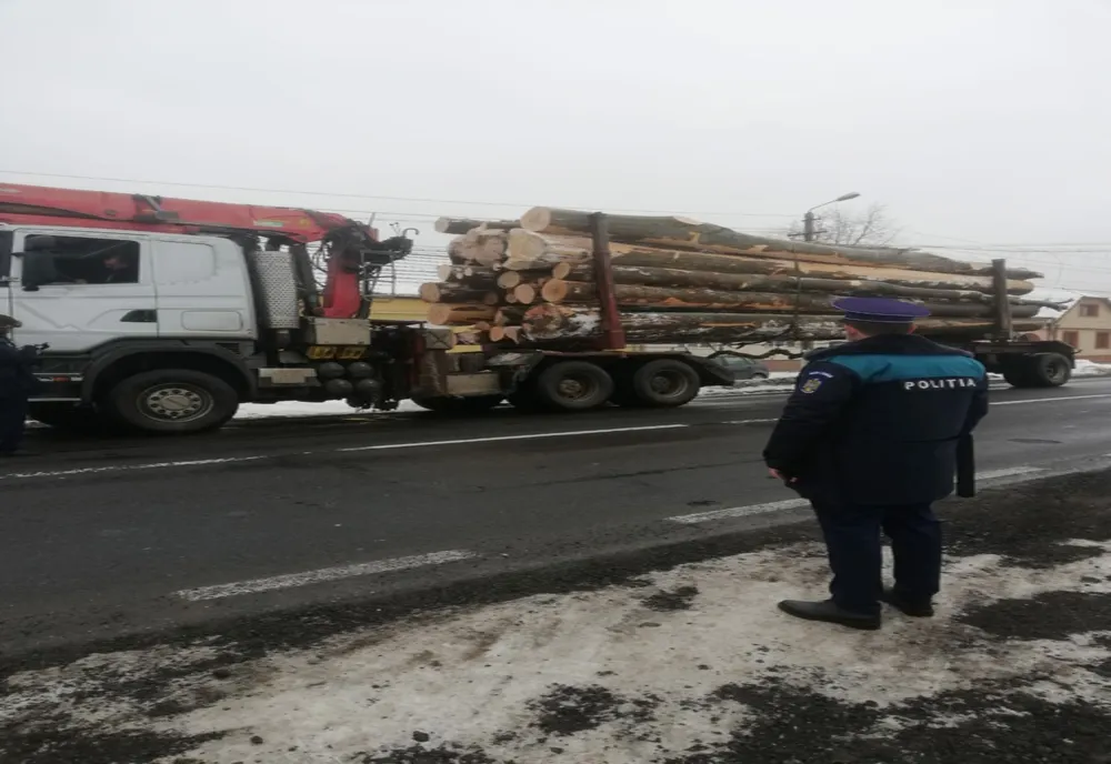Controale pe drumurile din Caraș-Severin pentru depistarea transporturilor ilegale de lemn. Amenzi de peste 12.000 de lei