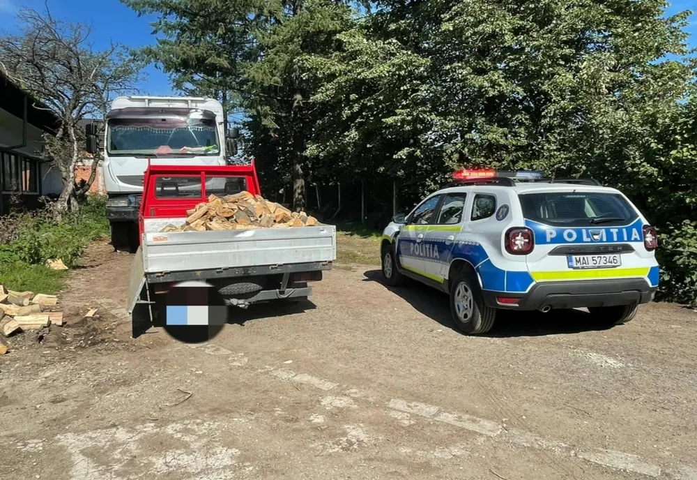 Peste 365 de metri cubi de material lemnos confiscați
