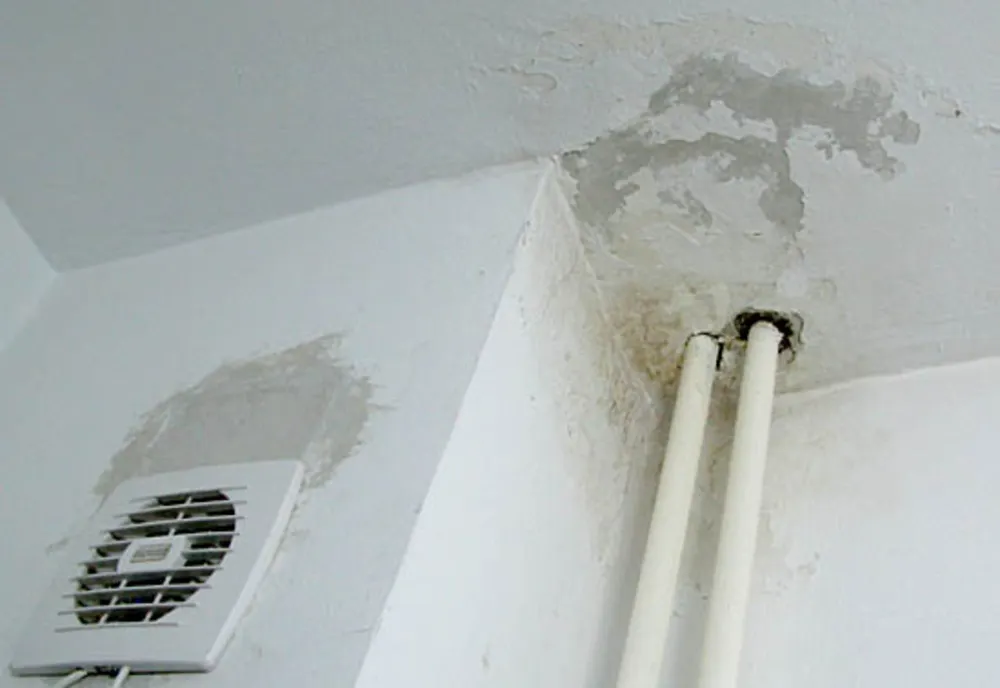 Locatari disperați, la Reșița: apartamente distruse de apă
