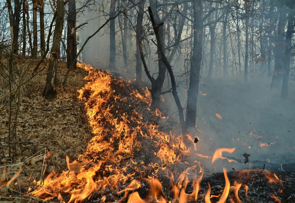 Incendii de vegetație în județul Caraș-Severin - se întâmplă când faci focul afară și îl lași nesupravegheat