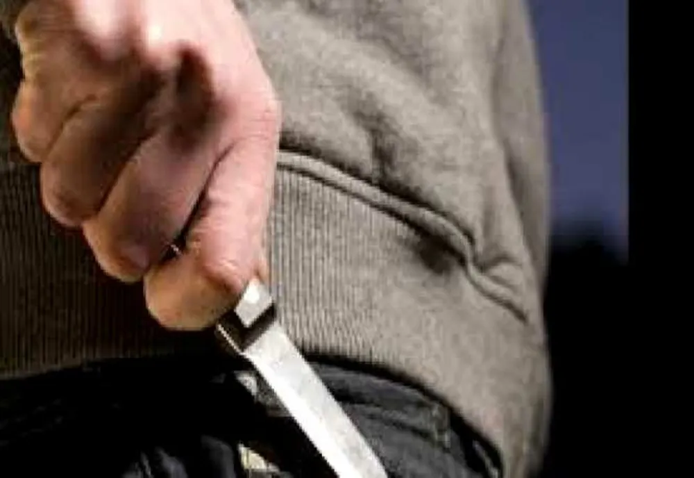 Dat în urmărire în Germania pentru vătămare corporală gravă, prins în Caraș-Severin