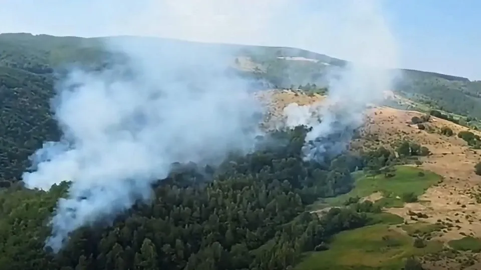 Operațiunile de stingere a incendiului din zona Lindenfeld, continuate