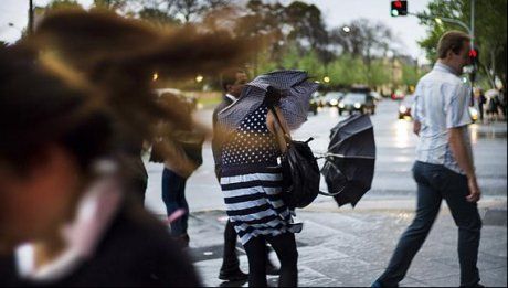 Ploi torențiale, vijelii și căderi de grindină în Banat până vineri dimineața