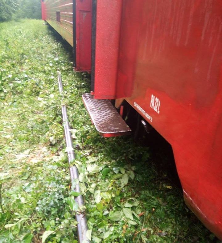 Tren deraiat în Caraș-Severin, aproape de stația Vasiova