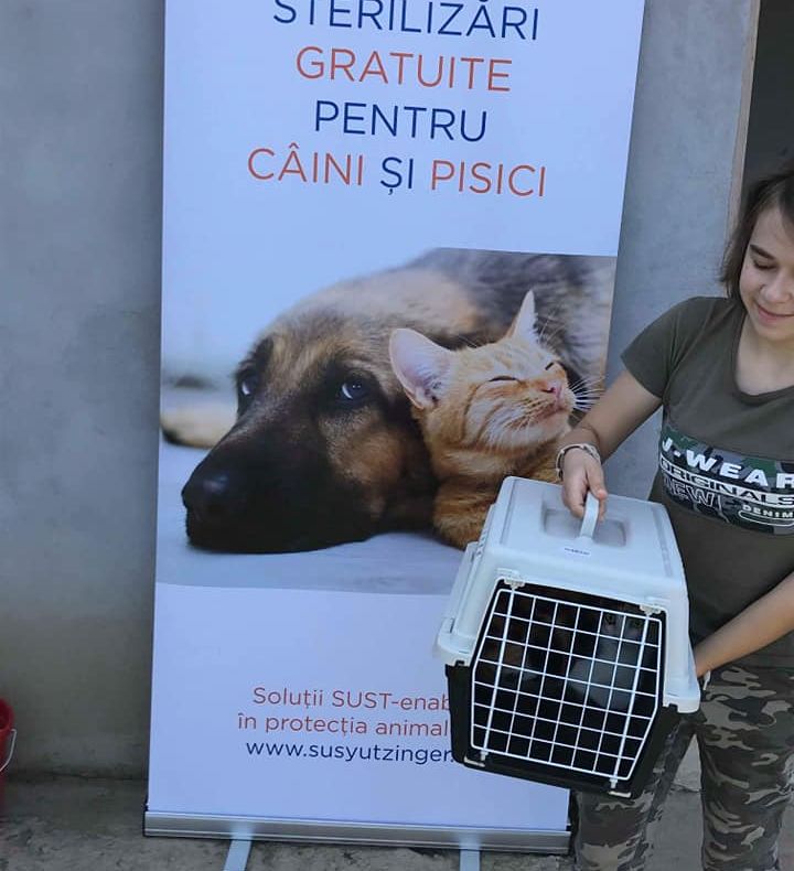 Campanie de sterilizare încheiată la Oravița FOTO