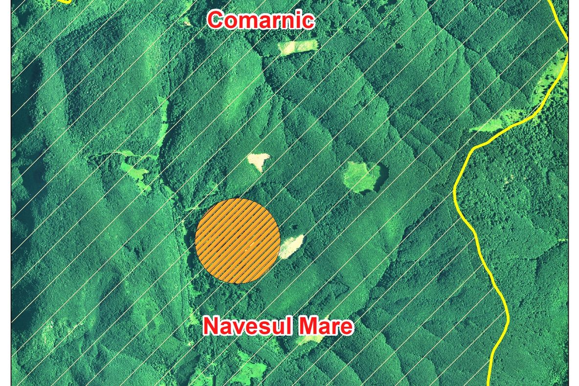 Noi exploatări forestiere în Rezervația naturală Cheile Carașului. Procurorii au tot mai mult de lucru!