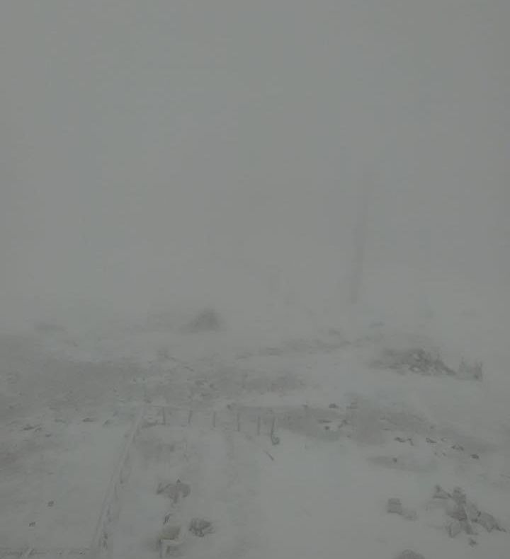 Avertizare meteo cod galben de vijelie