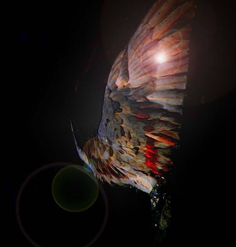 Maestrul Vlădulescu a încetat din viață