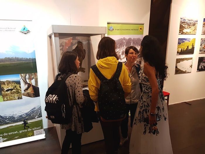 Păsările din parcurile naturale și naționale ale Caraș-Severinului în expoziție la Timișoara