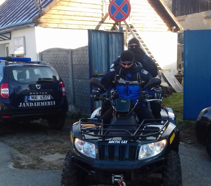 Pui de căprioară rănit și abandonat pe marginea drumului