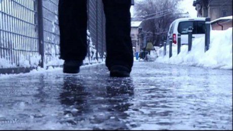 Poleiul dă dureri de cap șoferilor în Caraș-Severin