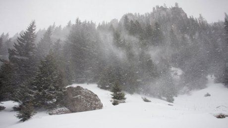 Informare meteo de vreme rea. Cod galben de ninsori abundente şi viscol
