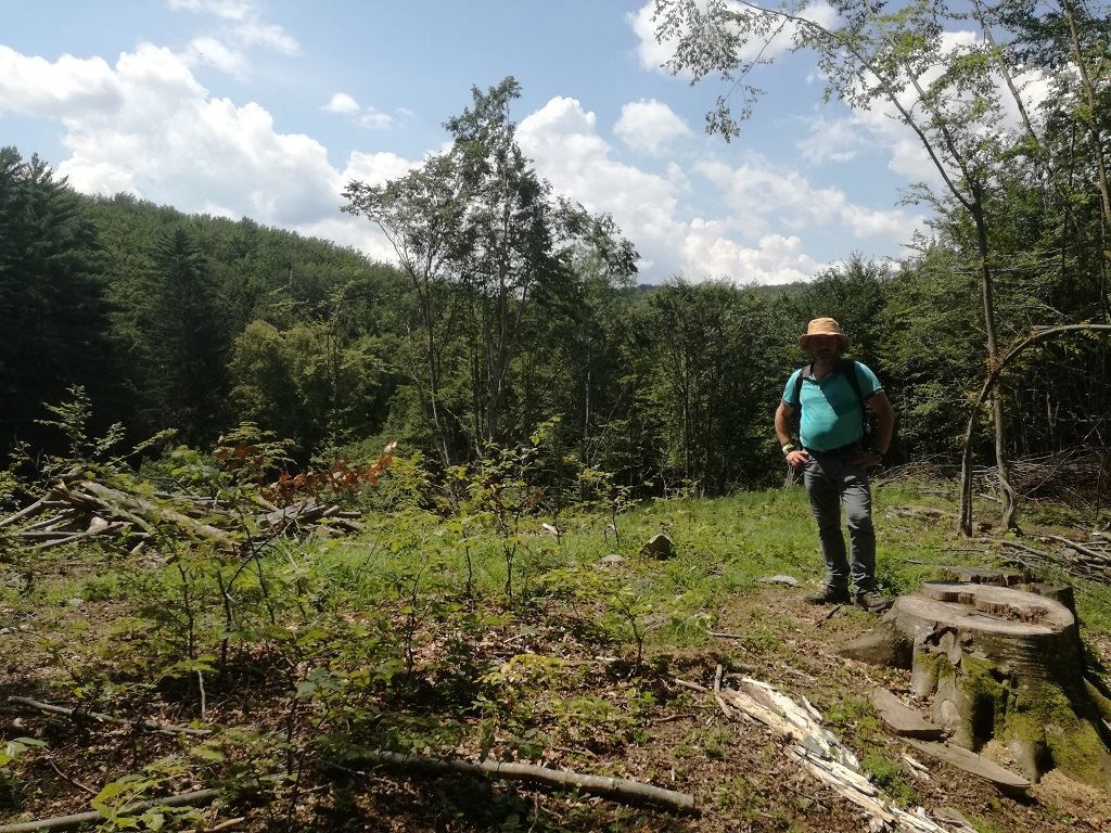 Mihai Goțiu: Parcul Național Semenic-Cheile Carașului în mare pericol FOTO