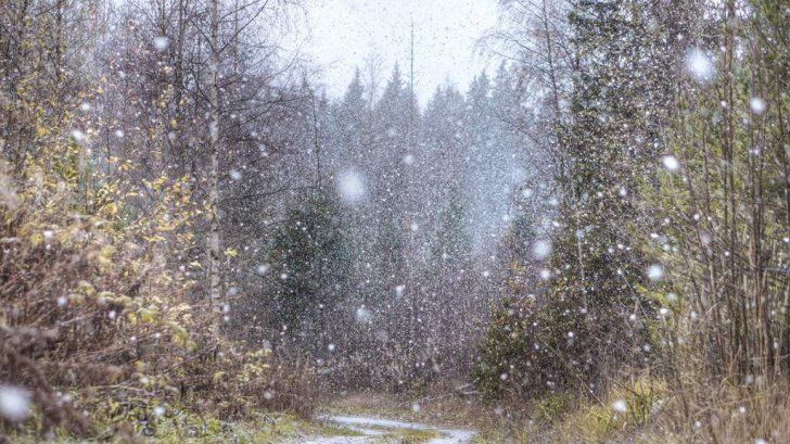 Alertă nowcasting Cod galben