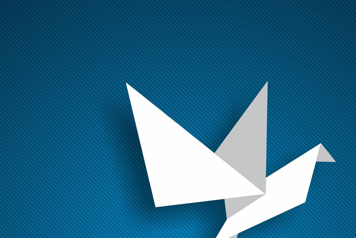 După educație media Kreativ Research începe și cursurile de educație ecologică