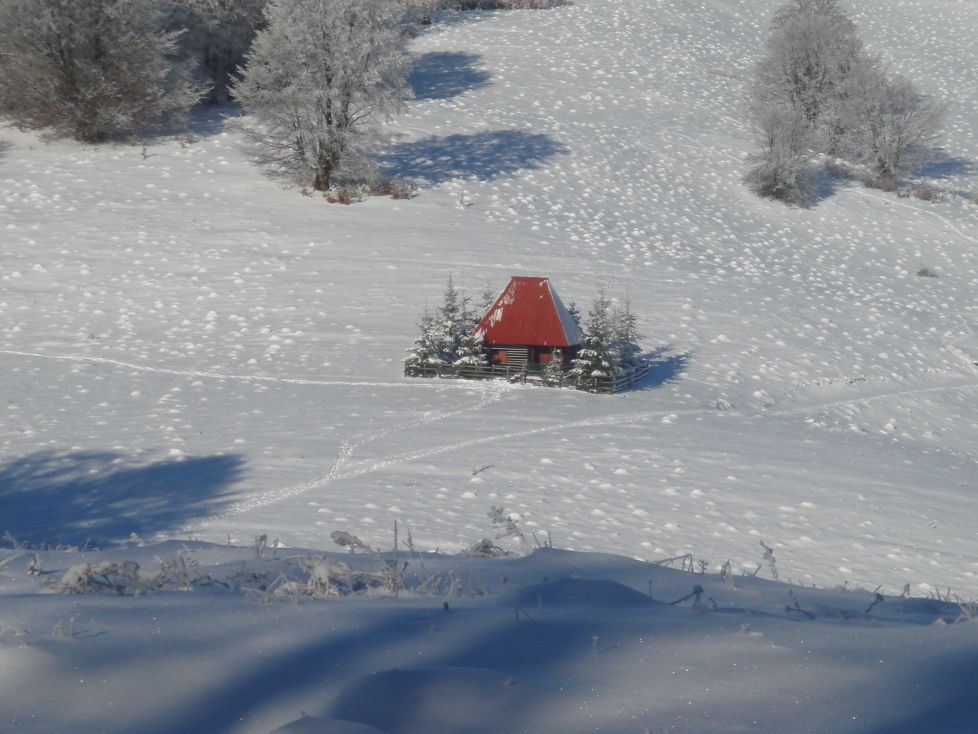 Caraș-Severinul depopulat: Lindendfeld, satul părăsit, Preveciori, satul cu un singur locuitor și Brebu Nou, cea mai mică comună din România VIDEO