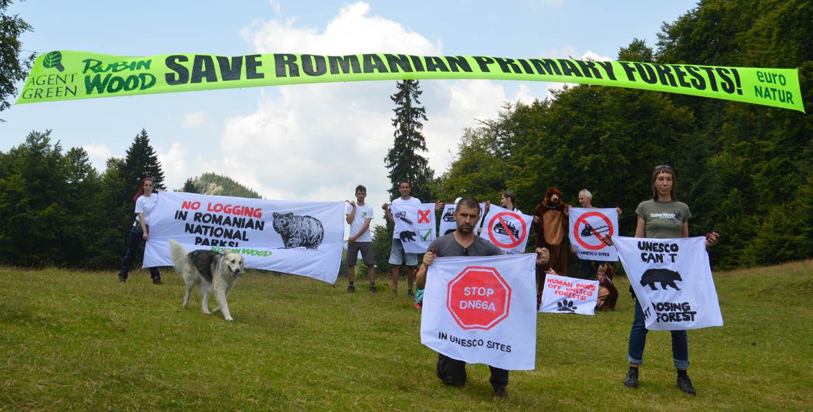 Acțiune spectaculoasă cu alpiniști în Domogled pentru a salva păduri UNESCO amenințate