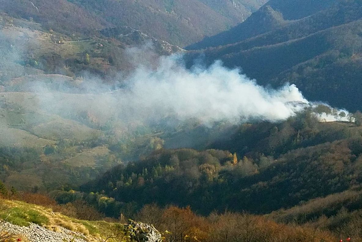 Un nou incendiu de pădure, de data asta în PN Domogled FOTO-VIDEO