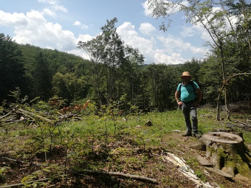 Satrapii pădurilor din Semenic, senatorul Mihai Goțiu arată cu degetul spre Mihai Bona și colegii lui, cu actele pe masă