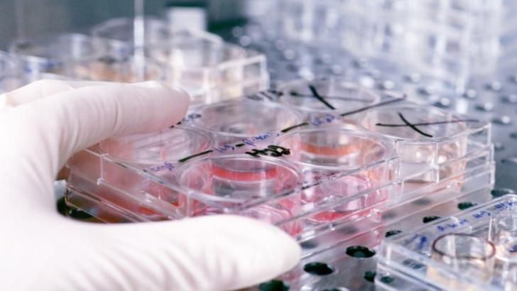 OMS a declarat stare de urgență la nivel global, în urma epidemiei de coronavirus