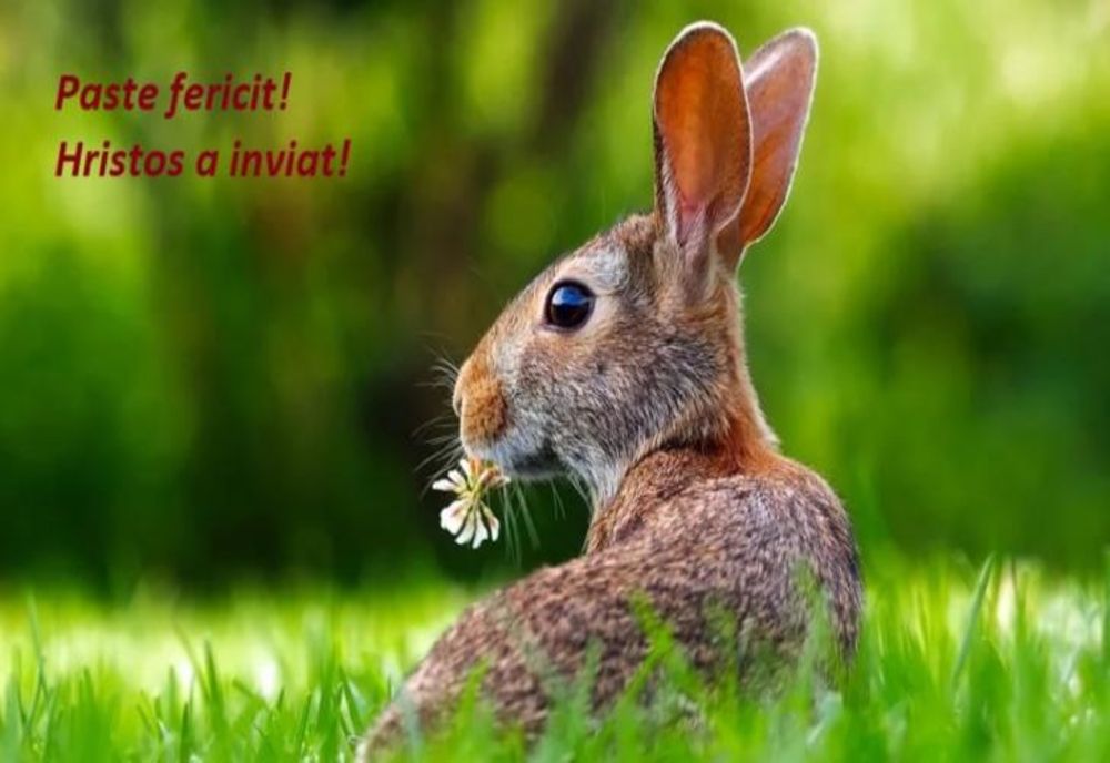 MESAJE DE PAȘTE 2020 // Cele mai frumoase mesaje și felicitări de Paște. Mesaje pentru Sărbătoarea Învierii