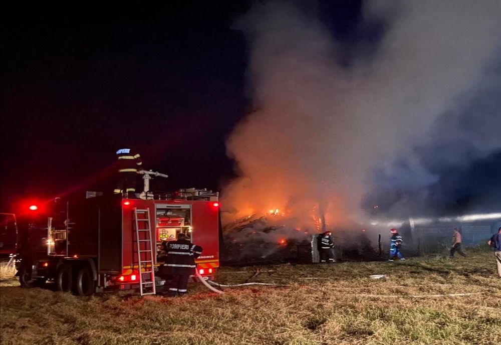 S-au jucat cu focul și au provocat un incendiu de proporții