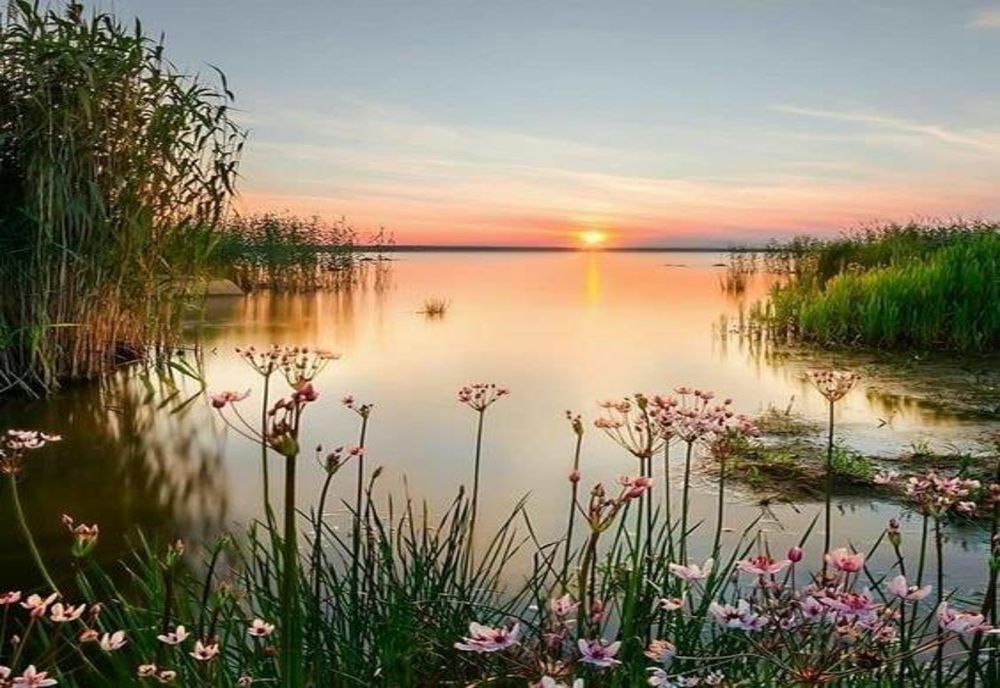 Vreme deosebit de caldă la final de săptămână, în vestul țării