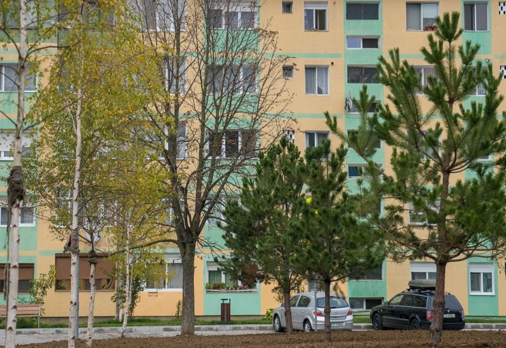 Plantări de arbori în Reșița: ce plantezi azi, vei culege mâine..