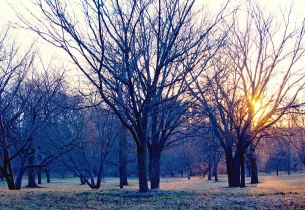 Vreme rece și închisă în zona de vest a țării