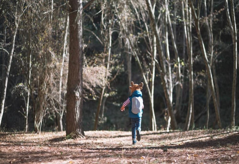 Amenzi pentru nereguli cu privire la depozitarea masei lemnoase 