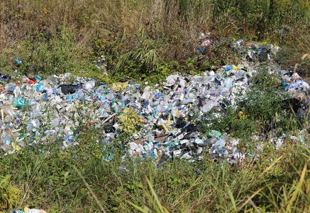 Intrările în Reşiţa vor fi ecologizate cu ajutorul voluntarilor