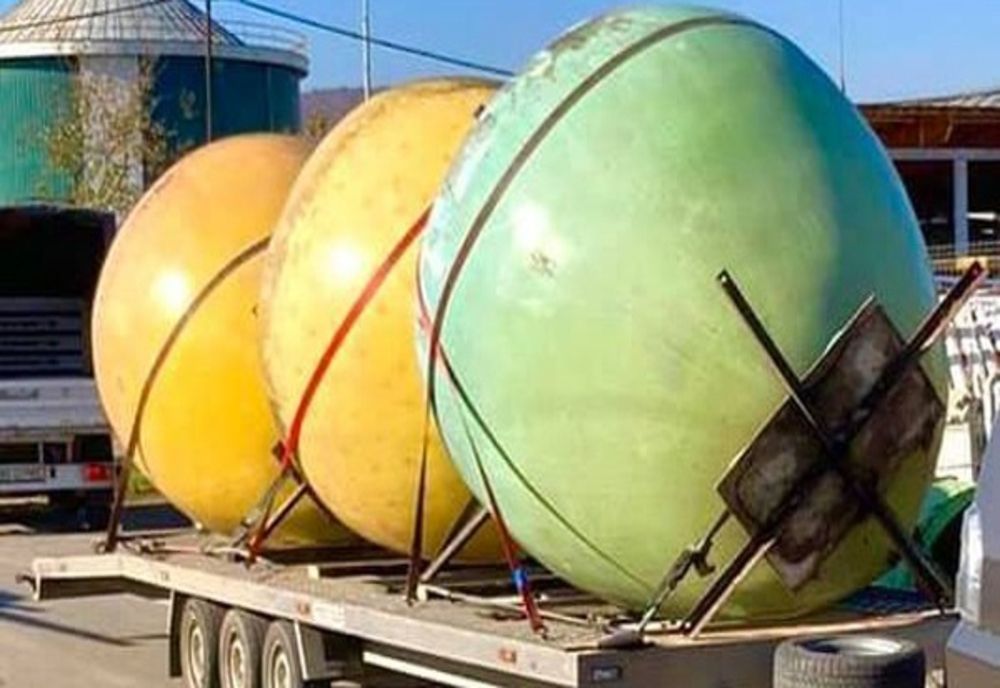 Mere gigant în Poiana Mărului