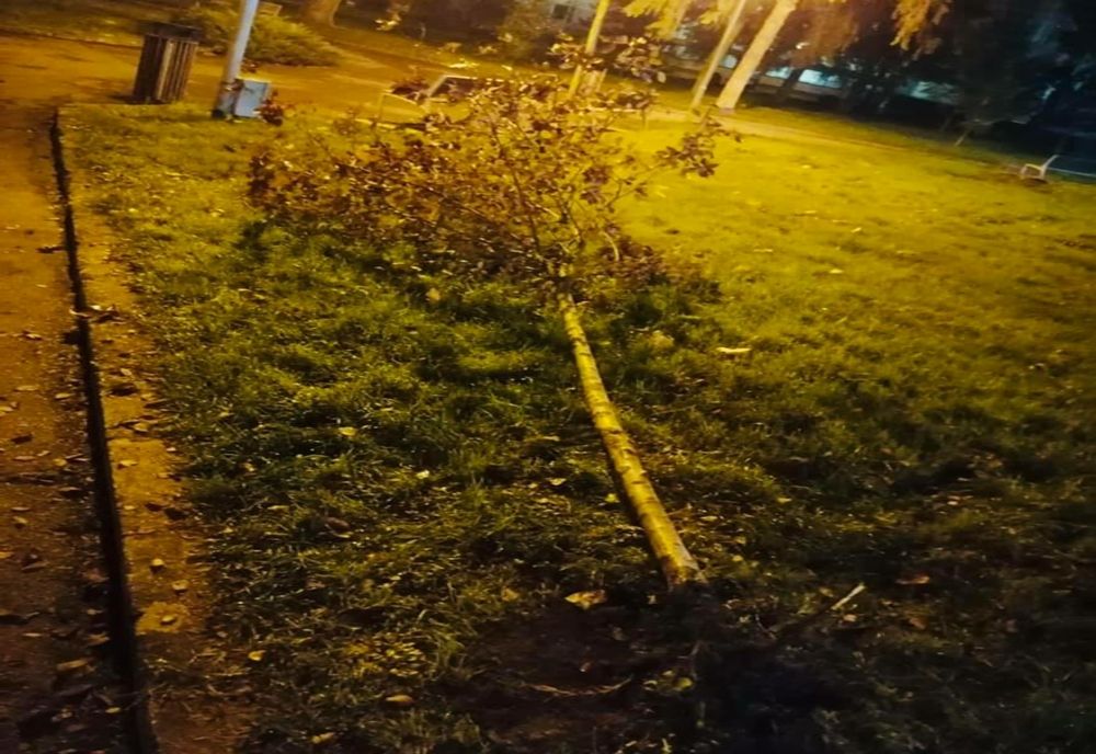 Vandali pe domeniul public, prinși de polițiștii locali