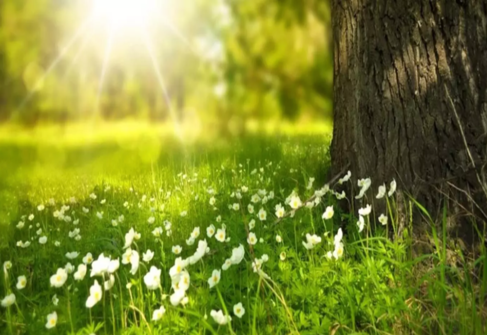 Vremea, la început de săptămână, în vestul țării