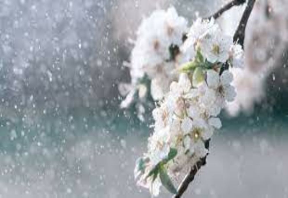 Vreme rece și închisă în vestul țării