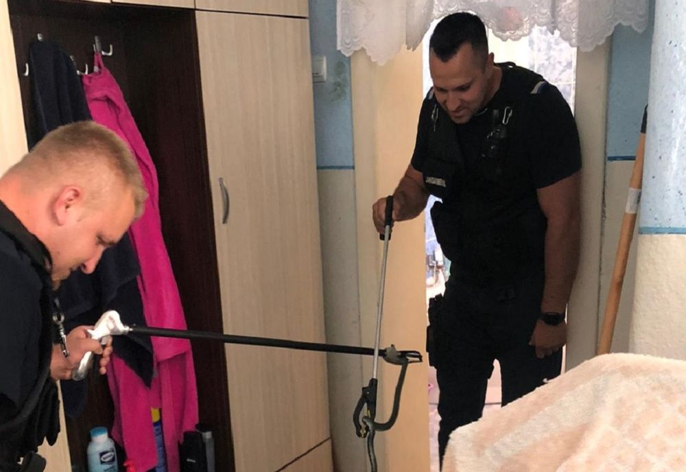 Un șarpe a fost găsit într-o baie dintr-un cartier din Reșița