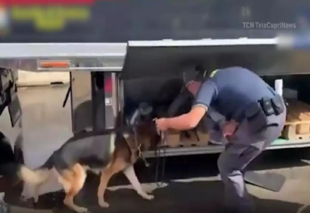 Șofer român, prins cu 100 de kilograme de droguri