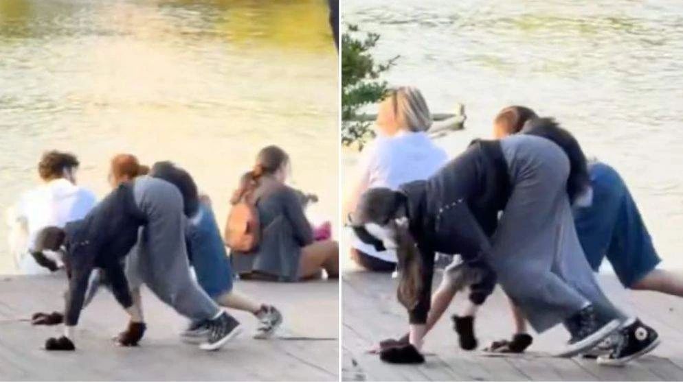 Fenomenul therianilor își face loc și în România! Tineri, filmați purtând măști de animale și deplasându-se în patru labe
