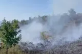 Incendiu de vegetație uscată și pășune la Sichevița, județul Caraș-Severin. Intervin pompierii ISU și două elicoptere Black Hawk