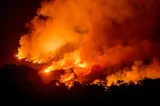 Intervenții pentru stingerea a zece incendii masive în vestul ţării
