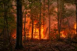 Incendii uriașe de vegetație pe Valea Cernei. Peste 60 de hectare de teren ard ca o torță -VIDEO