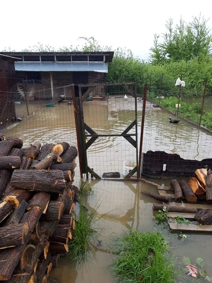 Inundatii Prisaca CS (2)