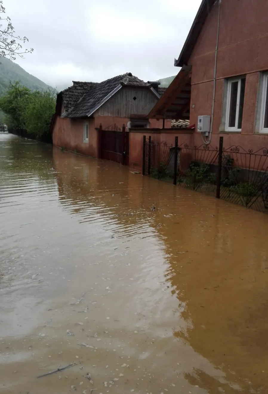inundatii Banat