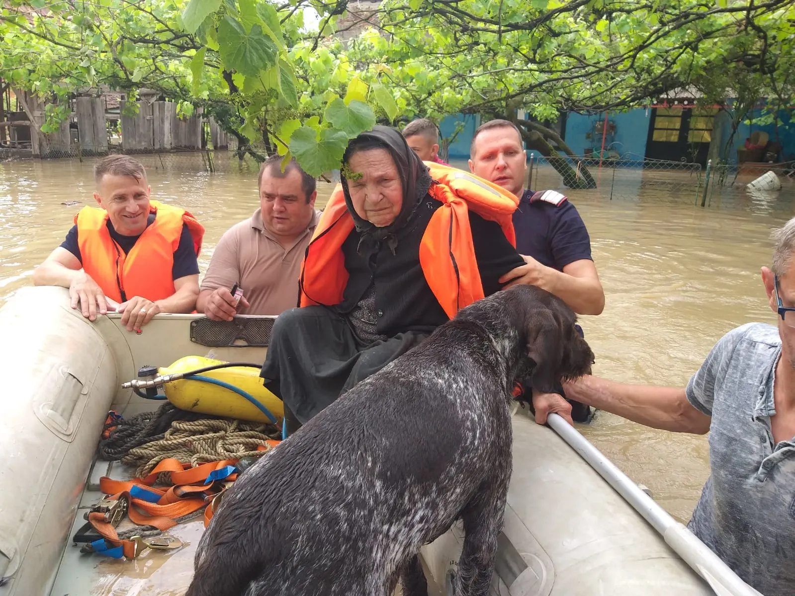 apa,inundatii,Banat