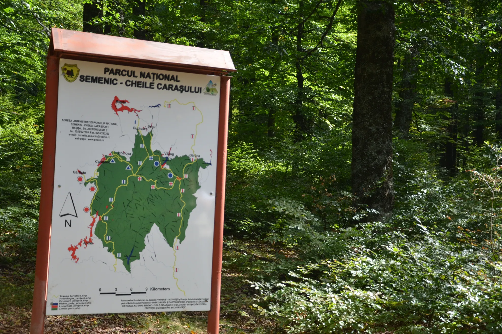 padure virgina Izvoarele Nerei